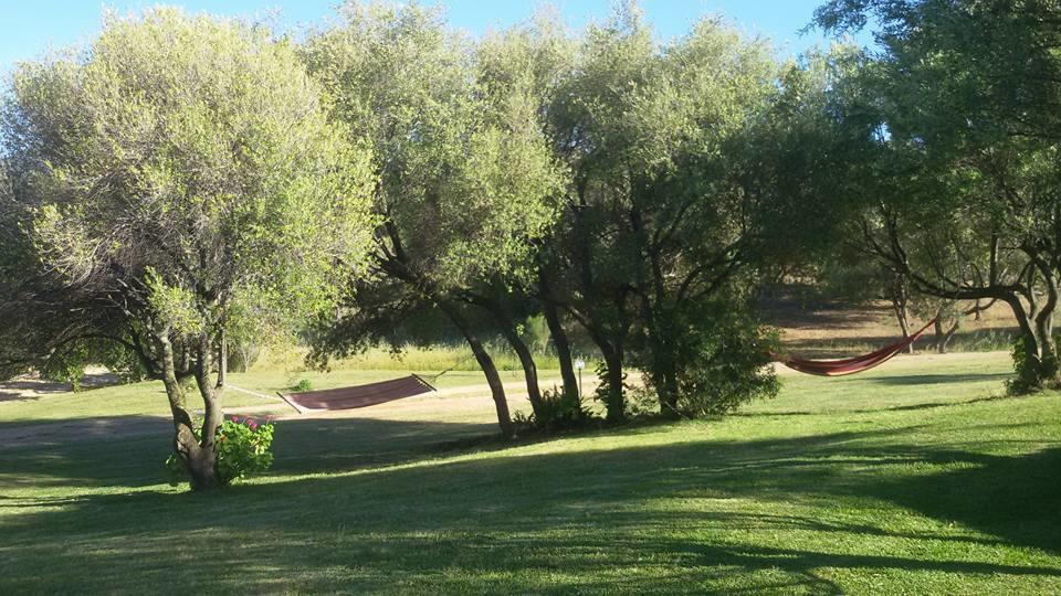 Agriturismo Sa Mendhula Cugnana Exterior photo
